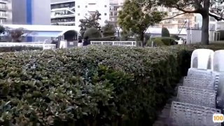 一个人HD在线观看免费高清视频超高清4K在线观看🔞中文字幕一区二区三区